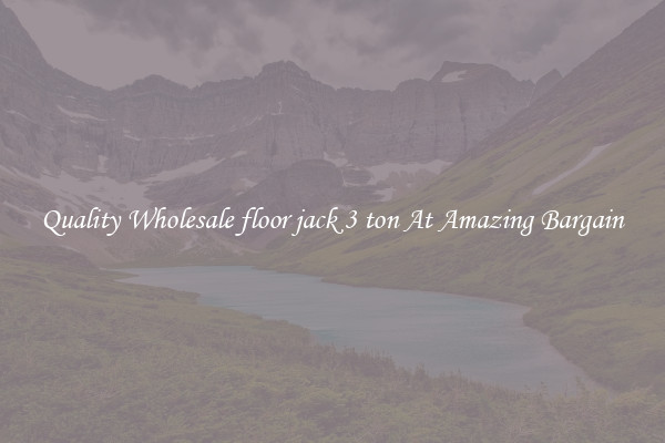 Quality Wholesale floor jack 3 ton At Amazing Bargain