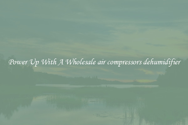 Power Up With A Wholesale air compressors dehumidifier