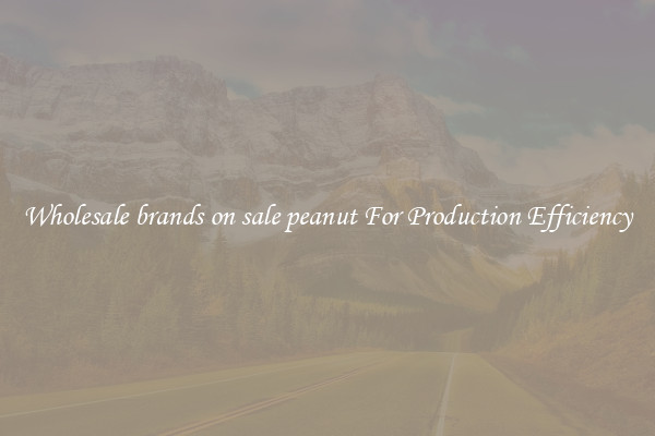 Wholesale brands on sale peanut For Production Efficiency