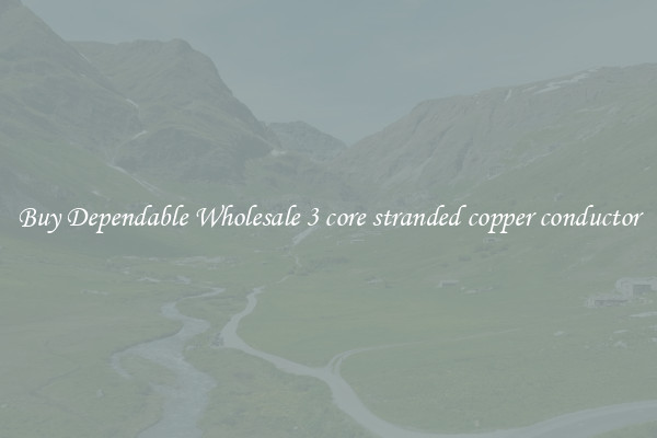 Buy Dependable Wholesale 3 core stranded copper conductor