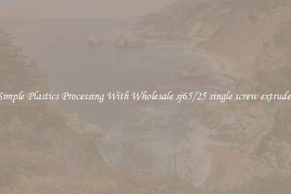 Simple Plastics Processing With Wholesale sj65/25 single screw extruder