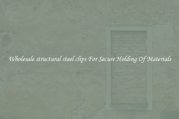 Wholesale structural steel clips For Secure Holding Of Materials