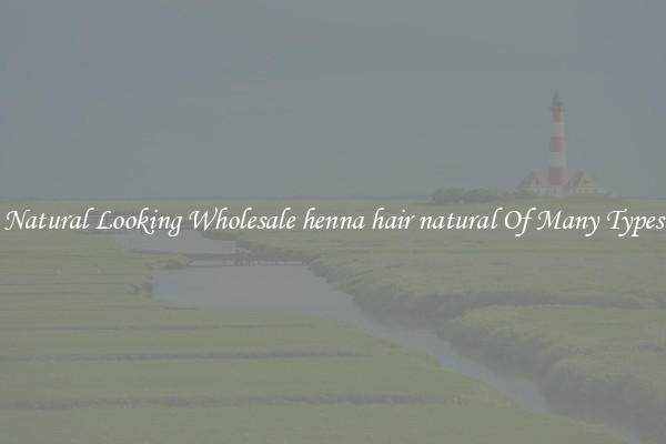 Natural Looking Wholesale henna hair natural Of Many Types