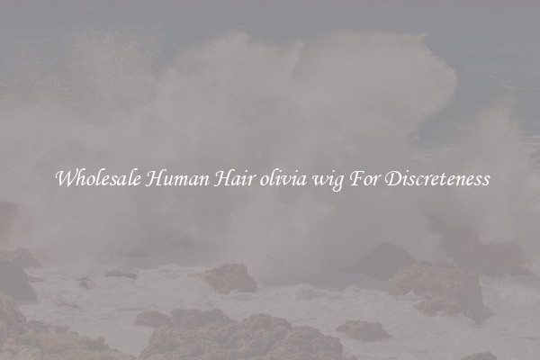 Wholesale Human Hair olivia wig For Discreteness