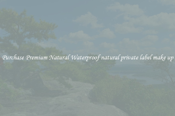 Purchase Premium Natural Waterproof natural private label make up