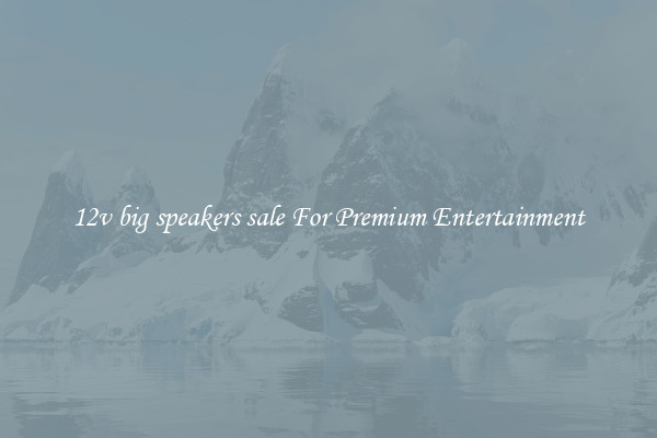 12v big speakers sale For Premium Entertainment