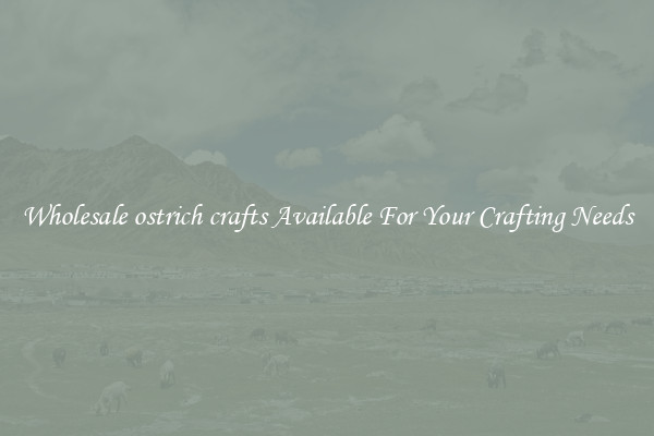 Wholesale ostrich crafts Available For Your Crafting Needs