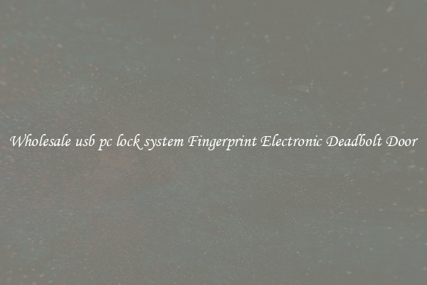 Wholesale usb pc lock system Fingerprint Electronic Deadbolt Door 