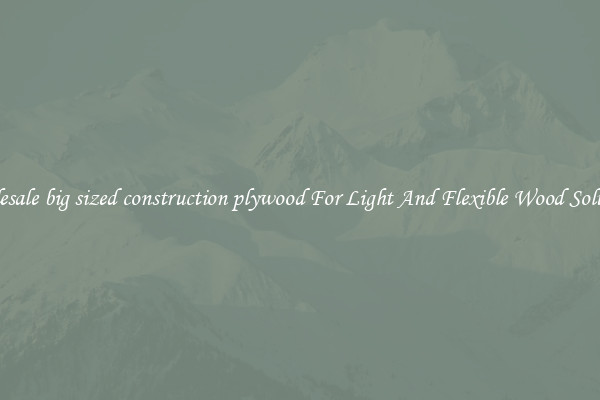 Wholesale big sized construction plywood For Light And Flexible Wood Solutions