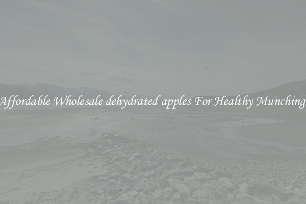 Affordable Wholesale dehydrated apples For Healthy Munching 