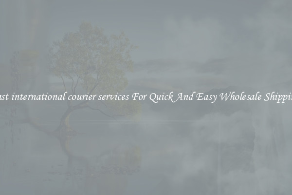 fast international courier services For Quick And Easy Wholesale Shipping