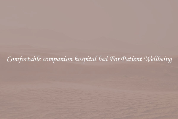 Comfortable companion hospital bed For Patient Wellbeing