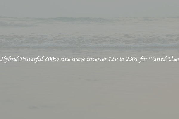 Hybrid Powerful 800w sine wave inverter 12v to 230v for Varied Uses