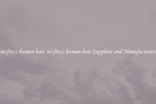 no frizz human hair, no frizz human hair Suppliers and Manufacturers