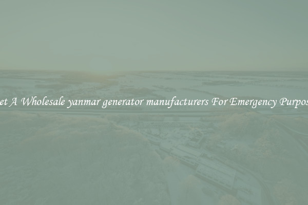 Get A Wholesale yanmar generator manufacturers For Emergency Purposes
