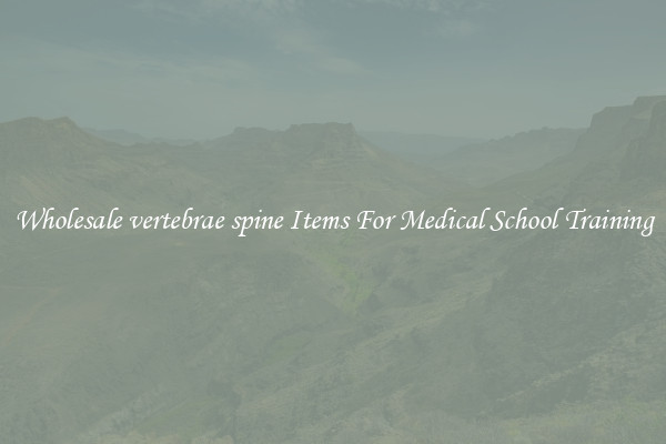 Wholesale vertebrae spine Items For Medical School Training