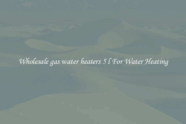 Wholesale gas water heaters 5 l For Water Heating