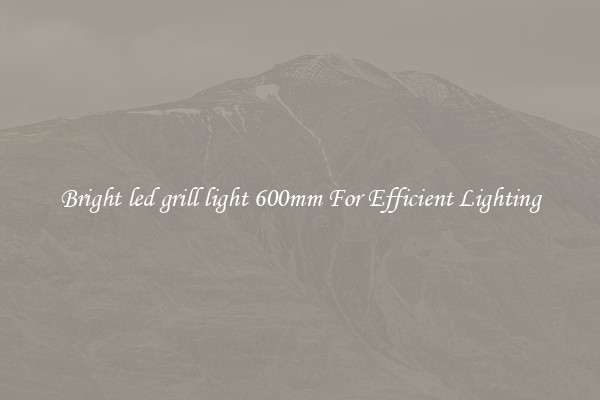 Bright led grill light 600mm For Efficient Lighting