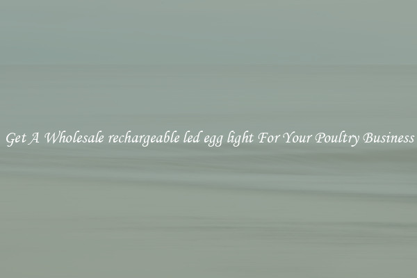 Get A Wholesale rechargeable led egg light For Your Poultry Business