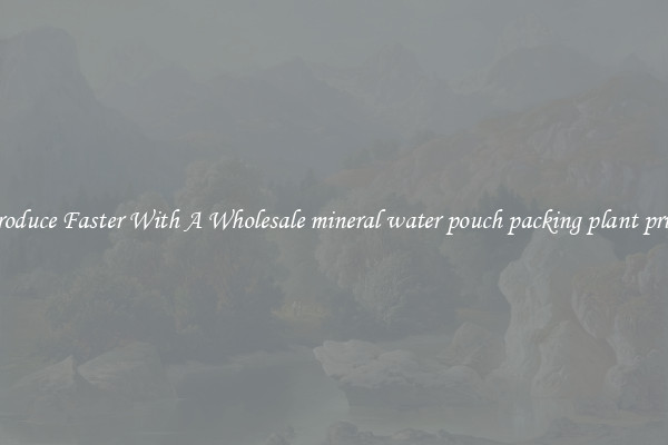 Produce Faster With A Wholesale mineral water pouch packing plant price
