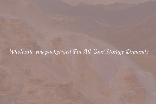 Wholesale you packetized For All Your Storage Demands